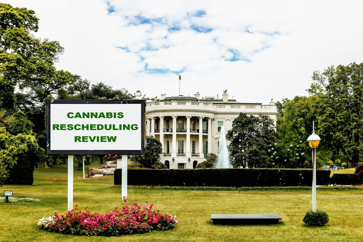 Billboard announcing 'CANNABIS RESCHEDULING REVIEW' on the lawn in front of the White House.