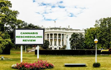 Billboard announcing 'CANNABIS RESCHEDULING REVIEW' on the lawn in front of the White House.