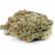 blueberry-mojito-trusty-4dd19ec8-4b53-484e-9ad4-57589975f2d5