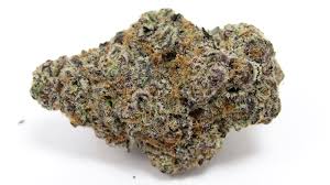 glitter-bomb-strain-0446495d-0d60-41bb-add0-79b5e0be35b9